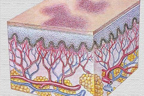 上海紫癜疾病研究院